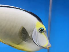-秦皇岛新澳海底世界