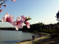 -美兰湖景区