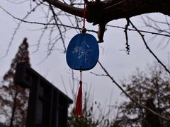 -长兴八都岕景区