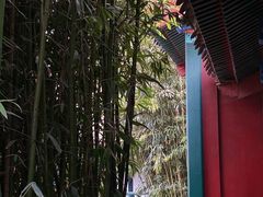-月坛公园