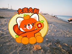 -秦皇岛阿尔卡迪亚滨海度假酒店