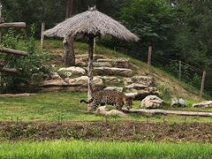 -北京野生动物园