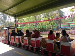 -美的鹭湖探索王国