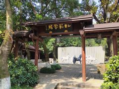 -白马涧龙池景区