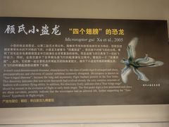 -辽宁古生物博物馆
