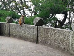 -石门涧