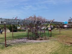 -武汉紫薇都市田园