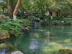 -趵突泉景区