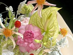 -花生FM_FLOWERS