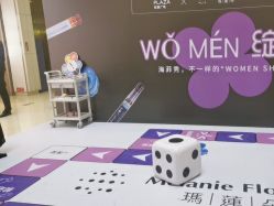 -玛莲朵·海菲秀冰珀科