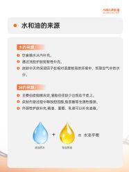 点击看大图 -玛莲朵·海菲秀冰珀科