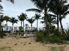 -精酿农场Brew Farm·沙漠绿洲餐厅