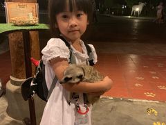 -清迈夜间动物园
