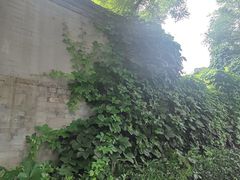 -正阳书局(西四南大街店)