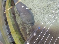 -鸿通城购物中心