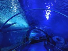 -多彩贵州城极地海洋世界