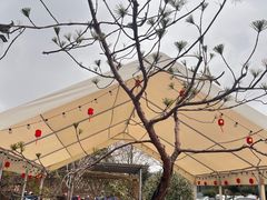 -头上红煨盐鸡·非遗院子餐厅
