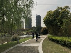-九里河湿地公园