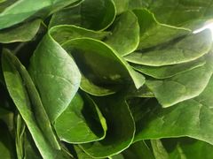 -南门四季铜锅涮肉(大屯·北苑店)