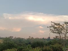 -南宁良凤江国家森林公园