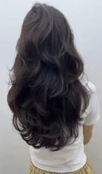 点击看大图 -藤野造型