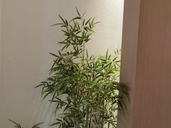 -奈诺甜品·生日蛋糕·下午茶(古城店)