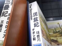 -中国西峡恐龙遗迹园