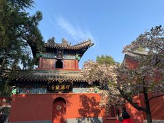 -洛阳白马寺