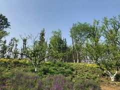 -白鹭湾湿地公园