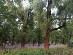 -长春市南湖公园