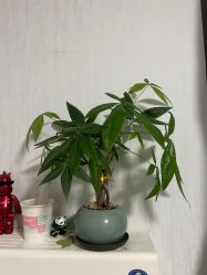 -U3美甲