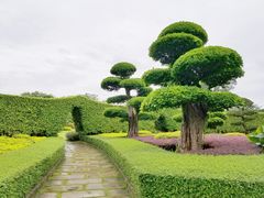 -南宁南湖公园