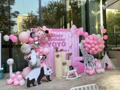 -CHERRY BABY 轻奢派对策划(北京国贸店)