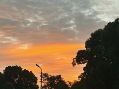 -呼吸森林·生态农庄农家乐私房菜