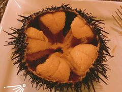 海胆-斯普汇生蚝牛排馆(中骏世界城店)