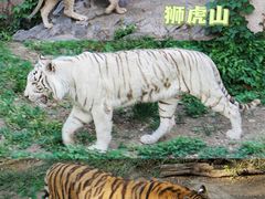 -北京动物园