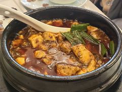 -陈麻婆豆腐总店