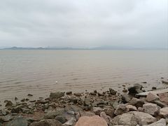 -深圳湾公园(南山区)