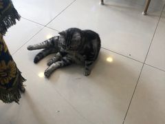 -平行世界·猫咖(首经贸店)