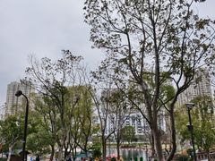 -宁波儿童公园(鄞州区)