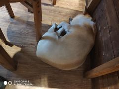 -阿木舂记·特色小吃(平江路店)