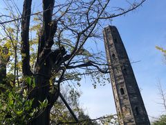 -上海佘山国家森林公园天马山园