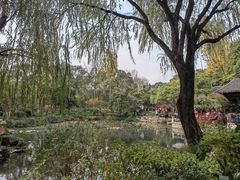 -秋霞圃