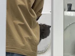 -爱洗澡的猫(天河路店)