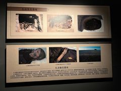 -巴音郭楞蒙古自治州博物馆