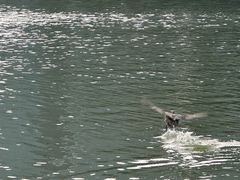 -杭州城北体育公园