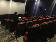 -大地影院(上海南汇店)