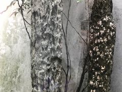 -苏州园林博物馆