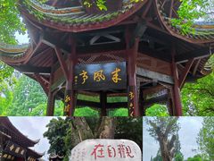 -峨眉山风景名胜区