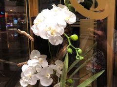 -上海新锦江大酒店